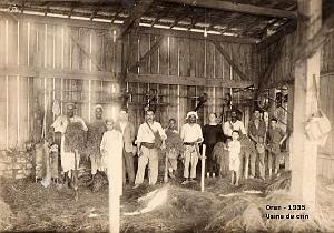 Oran SDV- 4830- Usine de crin- 1935